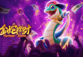 大小单双导师带赚包赔最新版