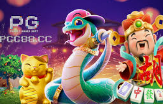 大小单双导师带赚包赔最新版